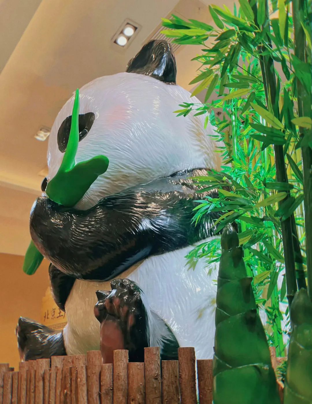 美周报 | SUHEWAN夏日运动会、HELLO AI、摩登运动场(2023第34周)