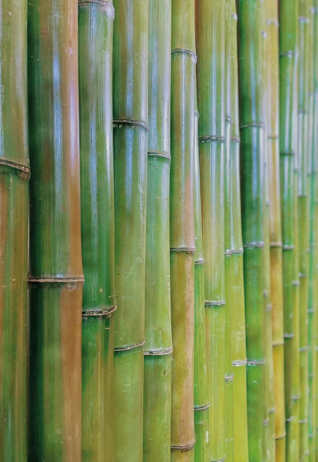 美周报 | SUHEWAN夏日运动会、HELLO AI、摩登运动场(2023第34周)