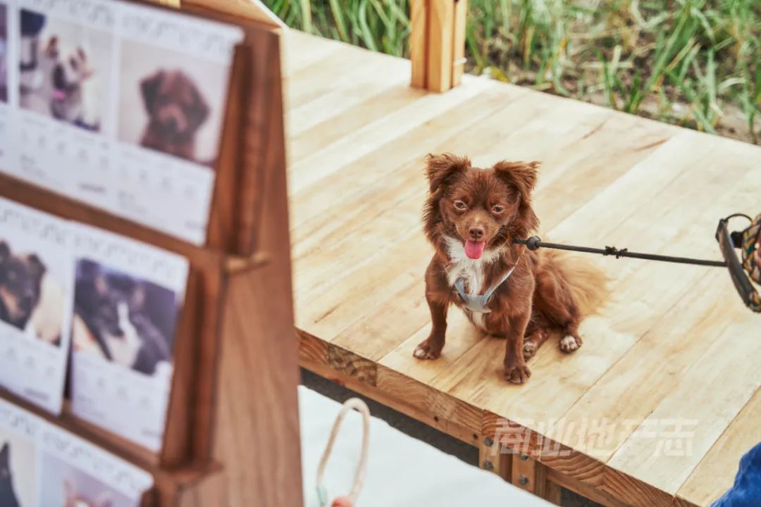 CRR百图斩|在沪上千年古刹旁,升腾起东方潮流新力量