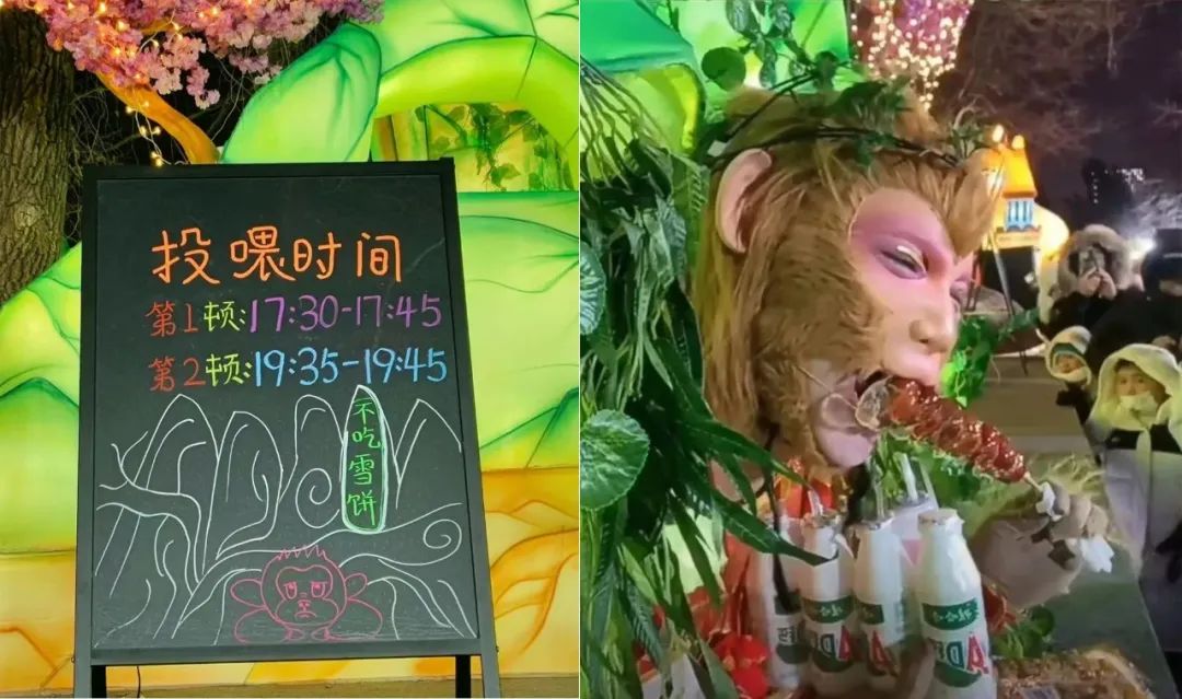 打造文旅“顶流”目的地:揭秘地方文旅如何成为人气焦点!【思营销】