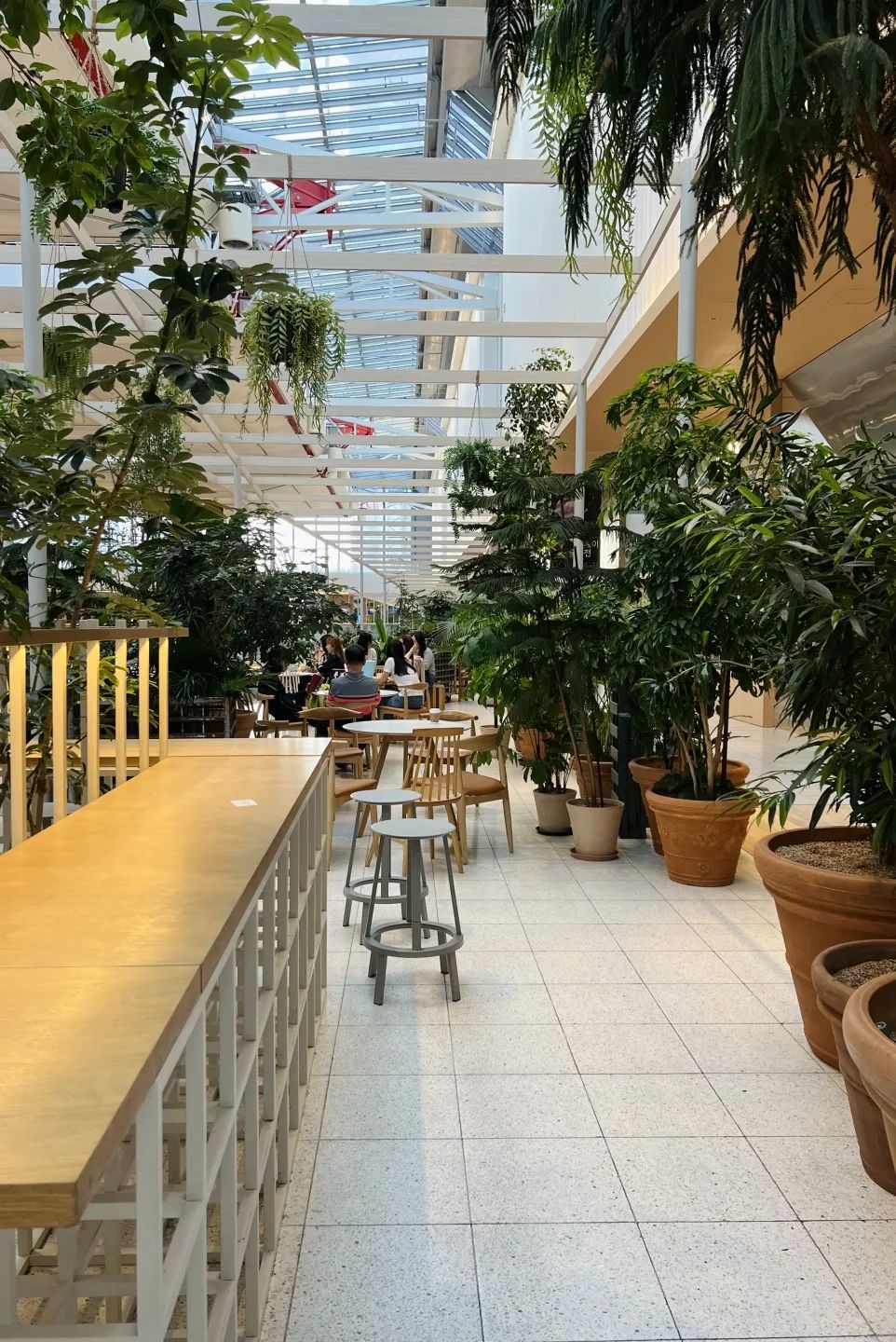 韩国年轻人,为何愿意重回商场?