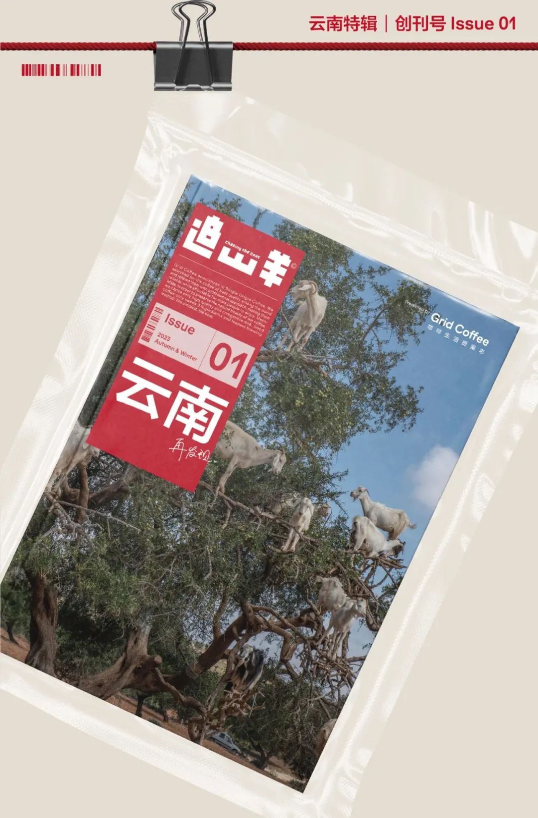 BV 季刊、观夏诗集、蕉下刊物....跟着品牌过读书日 | 有·意思商店特辑