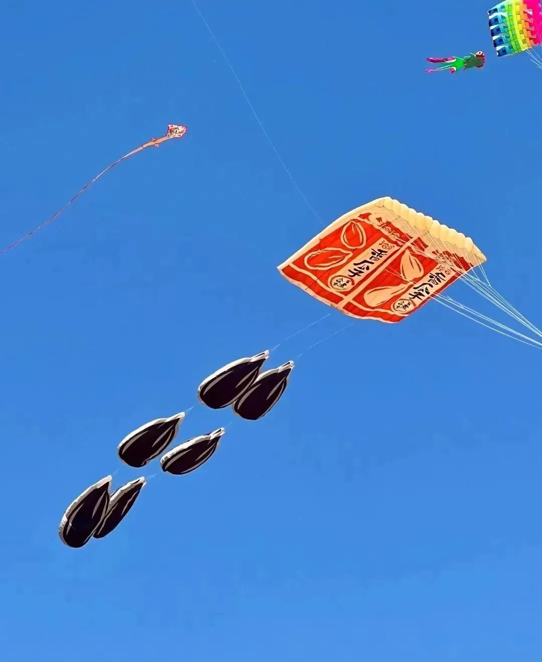 蜡笔小新引争议,“领导的饼”满天飞……潍坊风筝节火出圈!