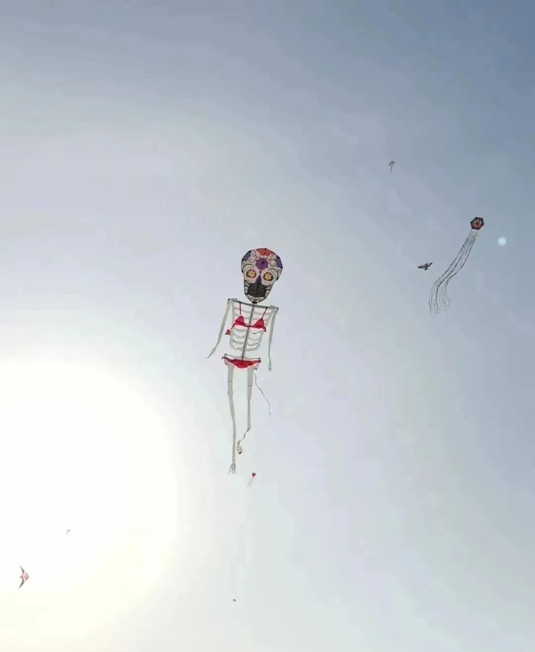 蜡笔小新引争议,“领导的饼”满天飞……潍坊风筝节火出圈!