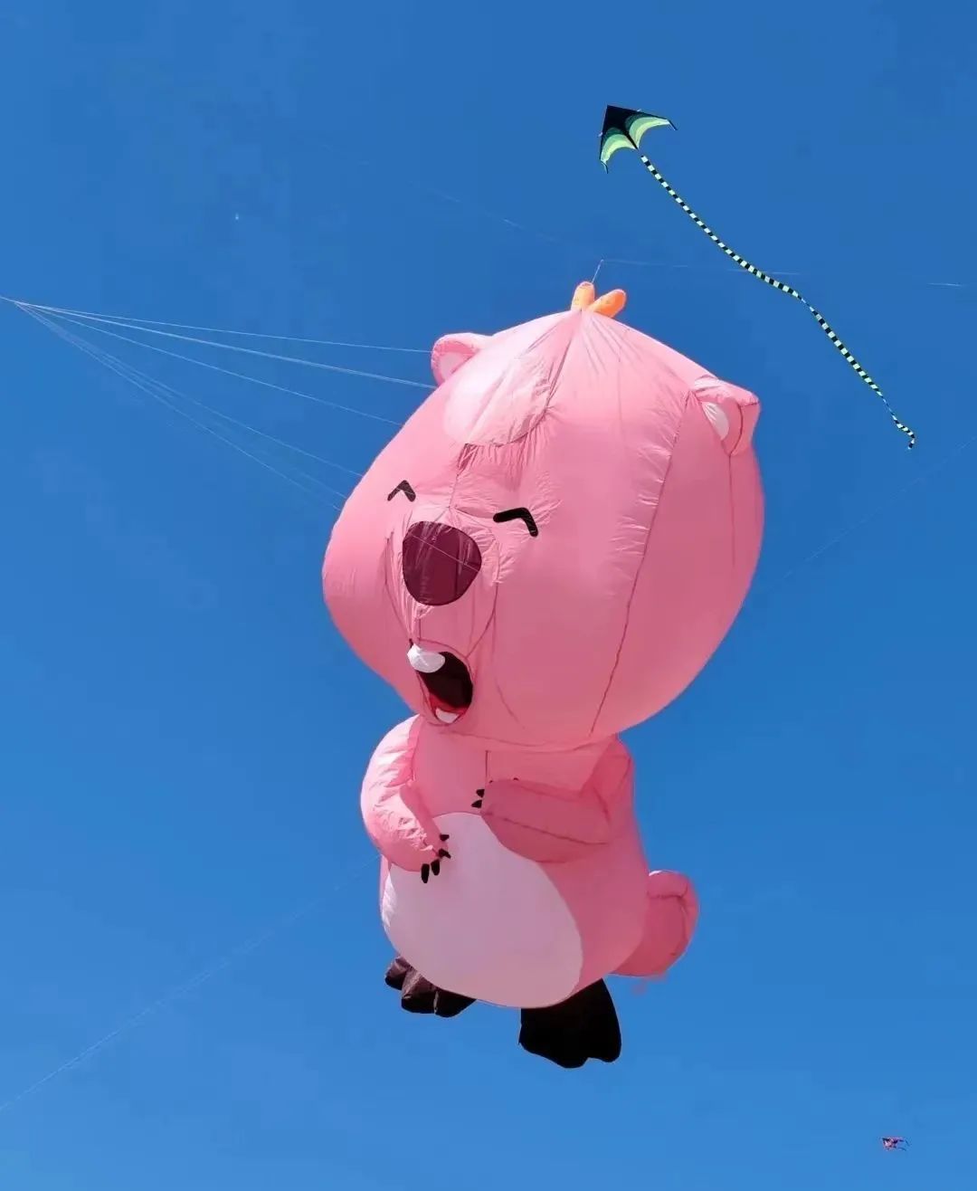 蜡笔小新引争议,“领导的饼”满天飞……潍坊风筝节火出圈!