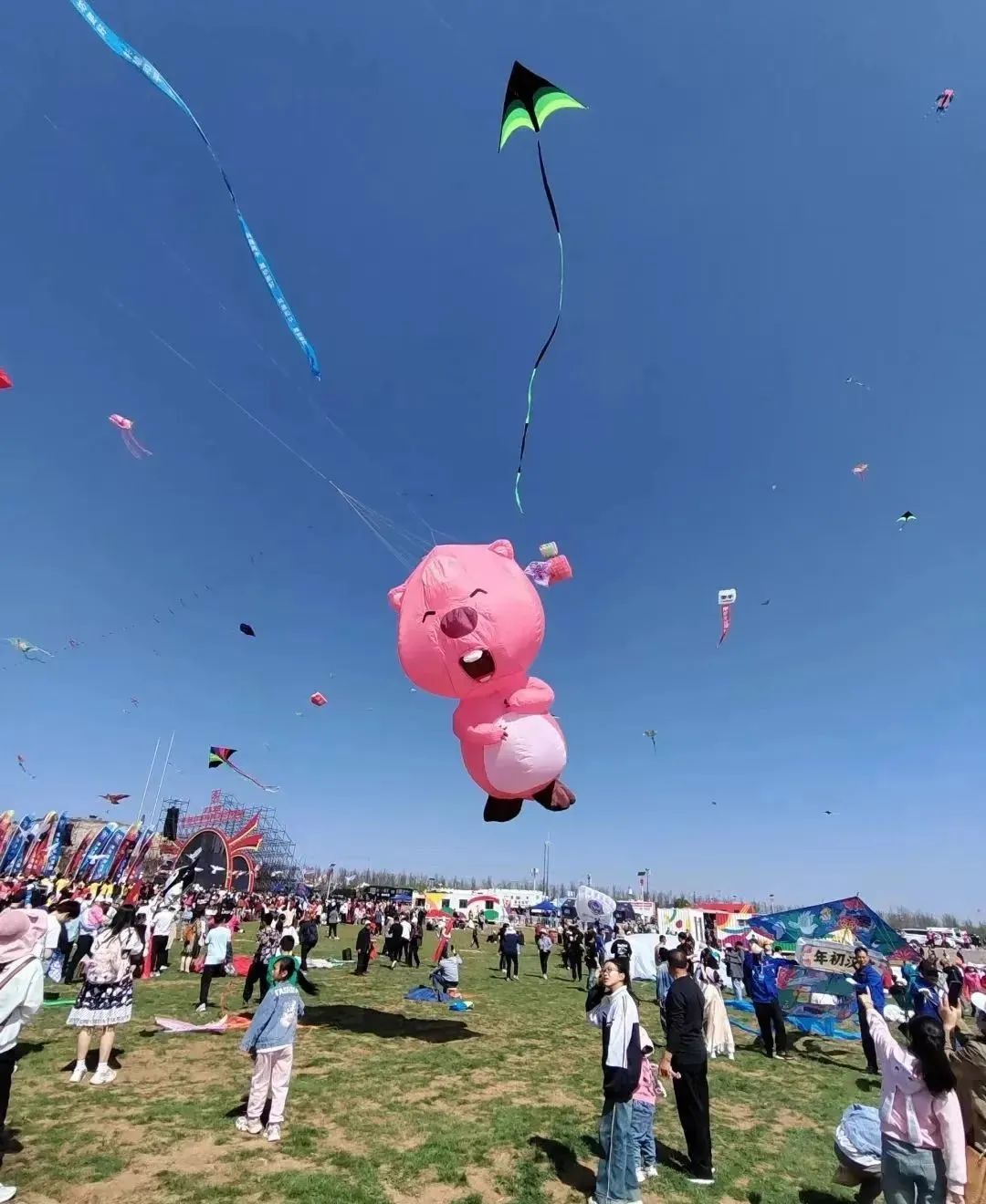蜡笔小新引争议,“领导的饼”满天飞……潍坊风筝节火出圈!