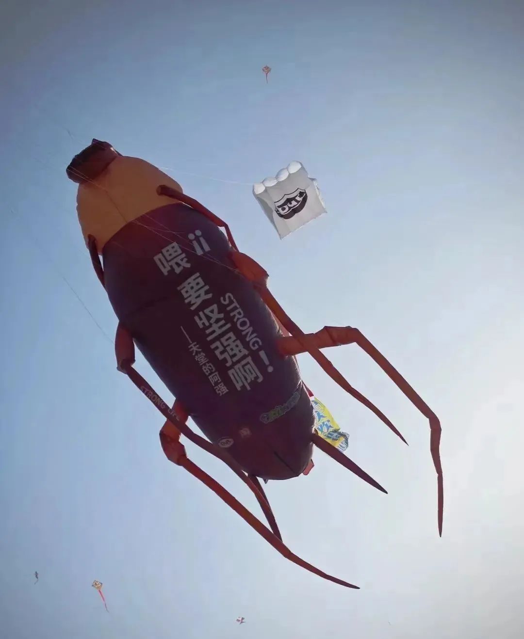 蜡笔小新引争议,“领导的饼”满天飞……潍坊风筝节火出圈!