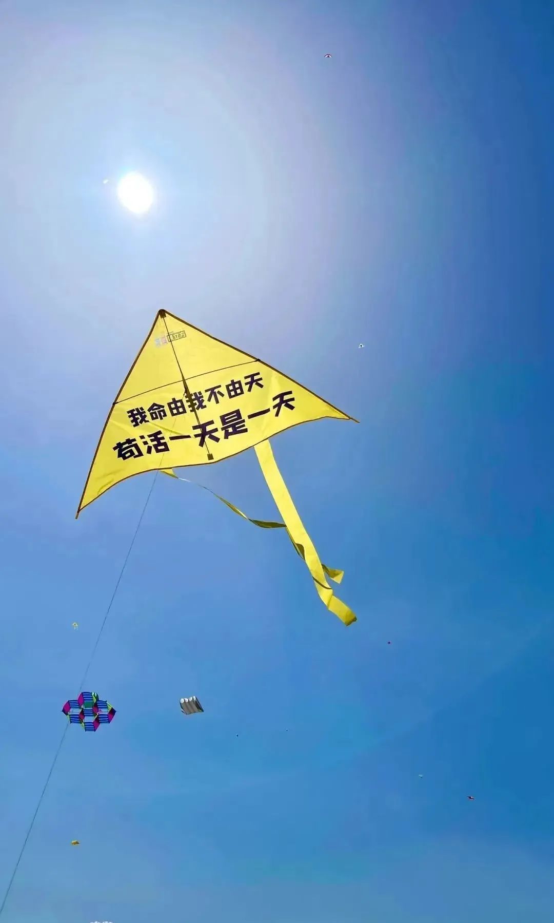 蜡笔小新引争议,“领导的饼”满天飞……潍坊风筝节火出圈!