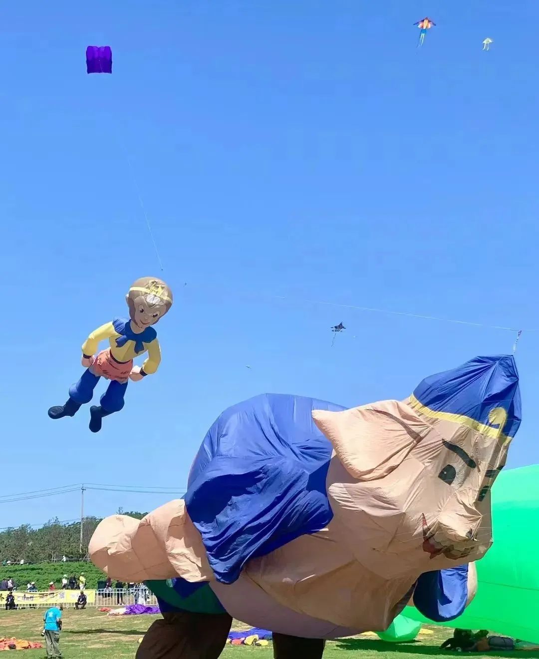 蜡笔小新引争议,“领导的饼”满天飞……潍坊风筝节火出圈!