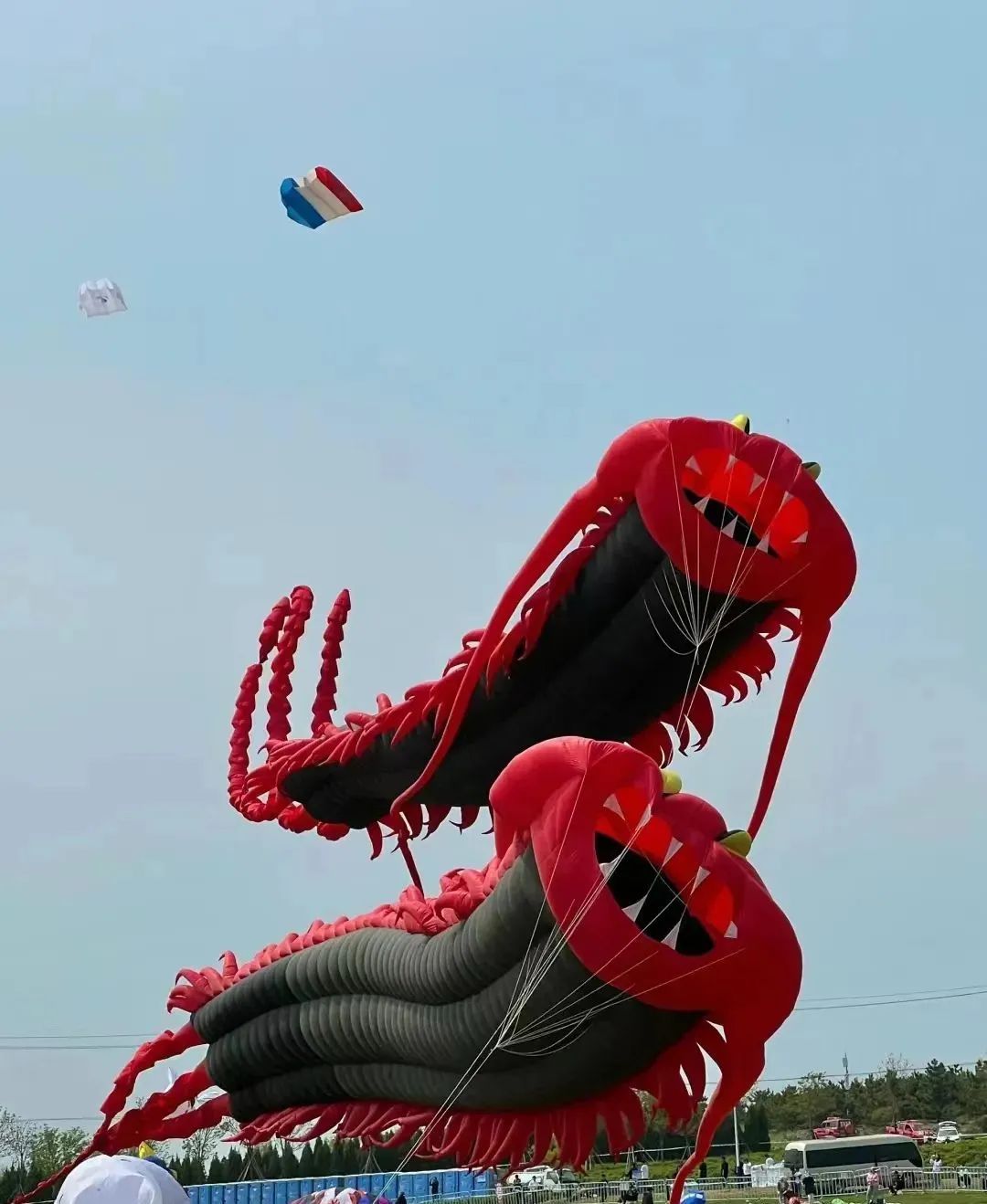 蜡笔小新引争议,“领导的饼”满天飞……潍坊风筝节火出圈!