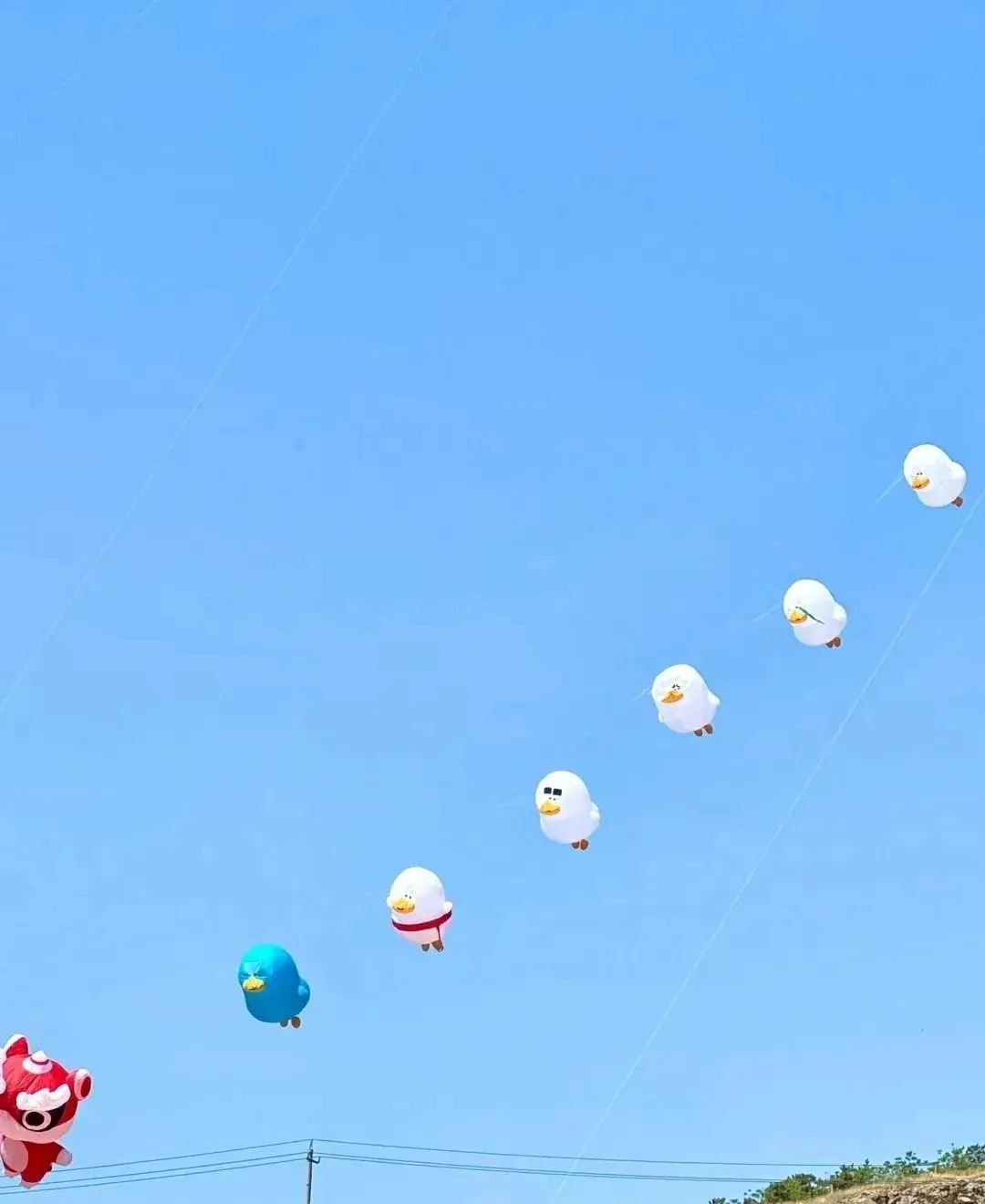 蜡笔小新引争议,“领导的饼”满天飞……潍坊风筝节火出圈!