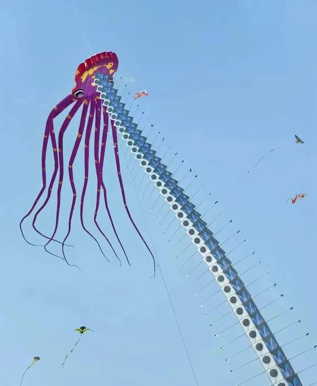 蜡笔小新引争议,“领导的饼”满天飞……潍坊风筝节火出圈!