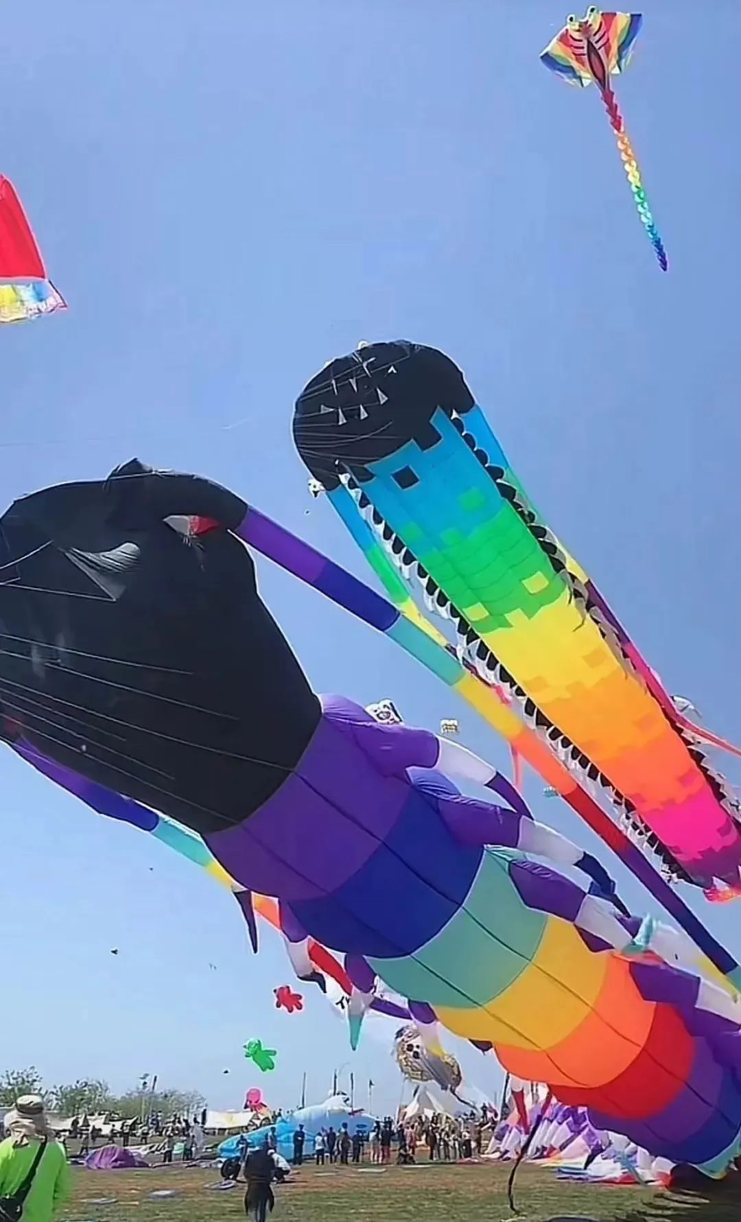 蜡笔小新引争议,“领导的饼”满天飞……潍坊风筝节火出圈!