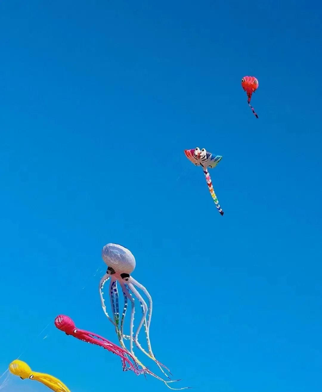 蜡笔小新引争议,“领导的饼”满天飞……潍坊风筝节火出圈!