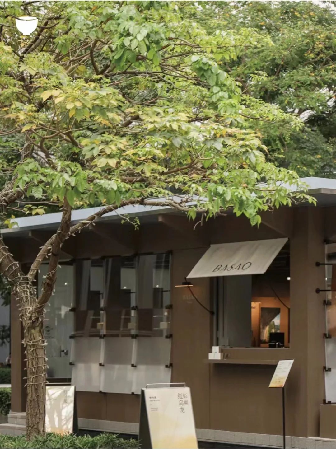 万象天地、阿那亚争相引入的茶品牌,从香港杀回内地?