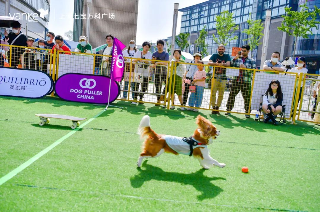 七宝万科广场的竞争力和可持续发展的长期主义来自哪里?