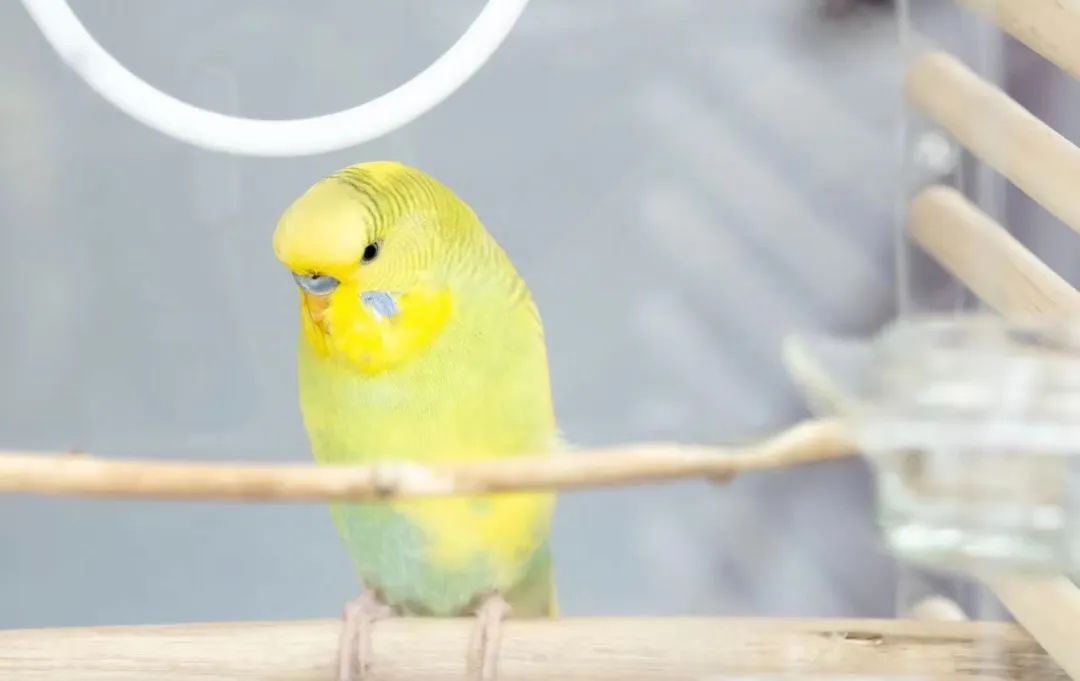 9.26开街期待值拉满，这或许是国内首座「血统最纯正」的东方街巷