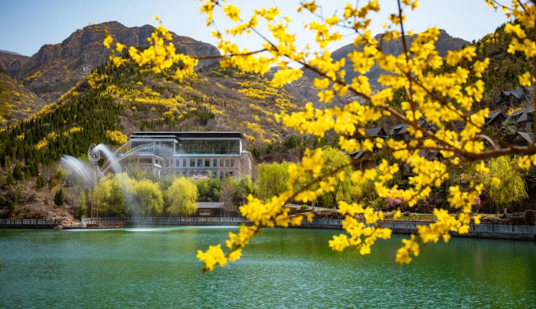 上半年，这些商场的客流凭实力大涨