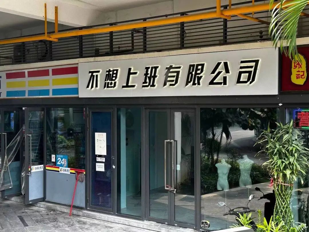 “笨手笨脚搬家公司”爆火，创意被网友笑上热搜