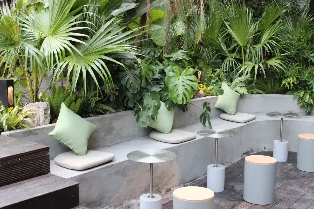 上半年，百货业绩强劲复苏！