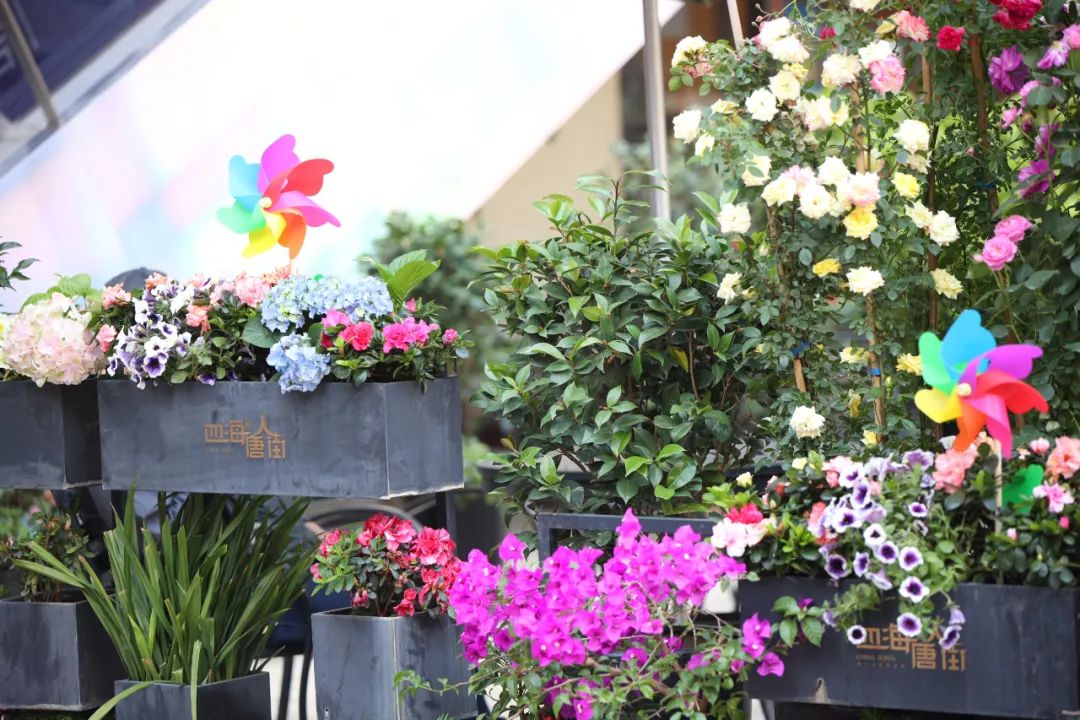 西安街区商业大变样：品牌、营销玩法都上“新”了！