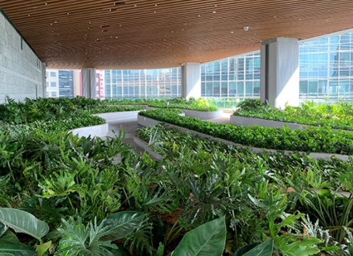 称霸香港第二CBD的南丰，在内地没啥存在感