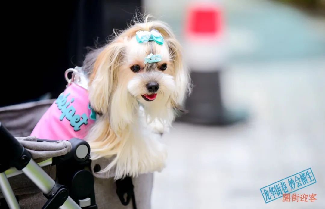 龙华会：以属地文化赋能商业，打造“东方之美”的城市名片