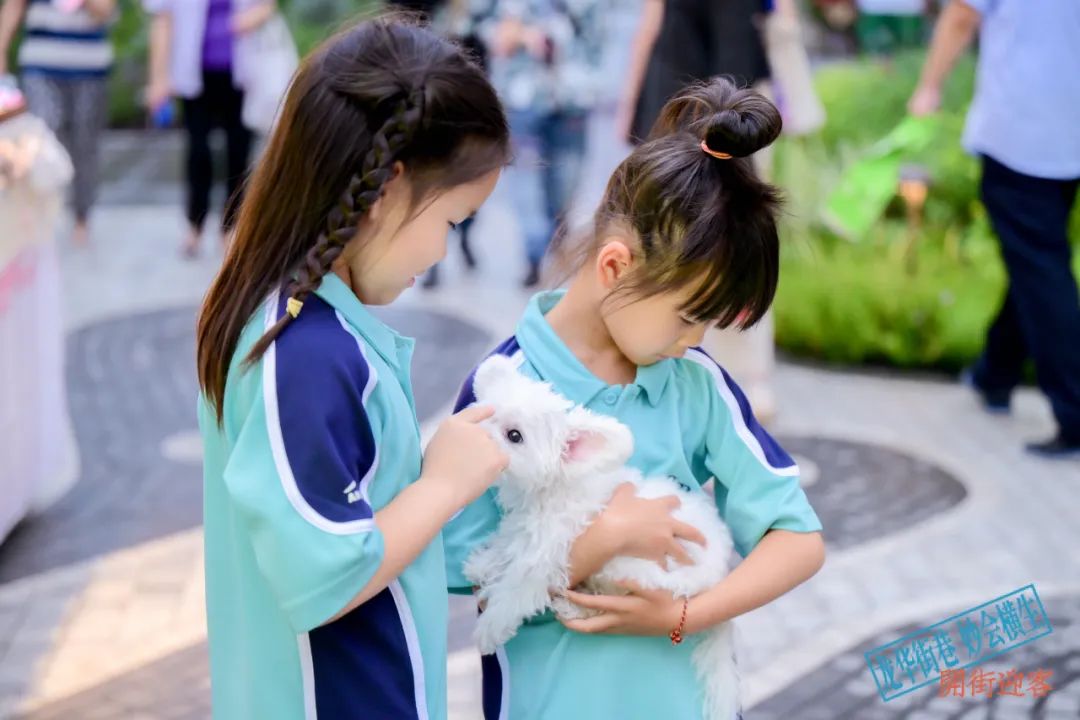 龙华会：以属地文化赋能商业，打造“东方之美”的城市名片