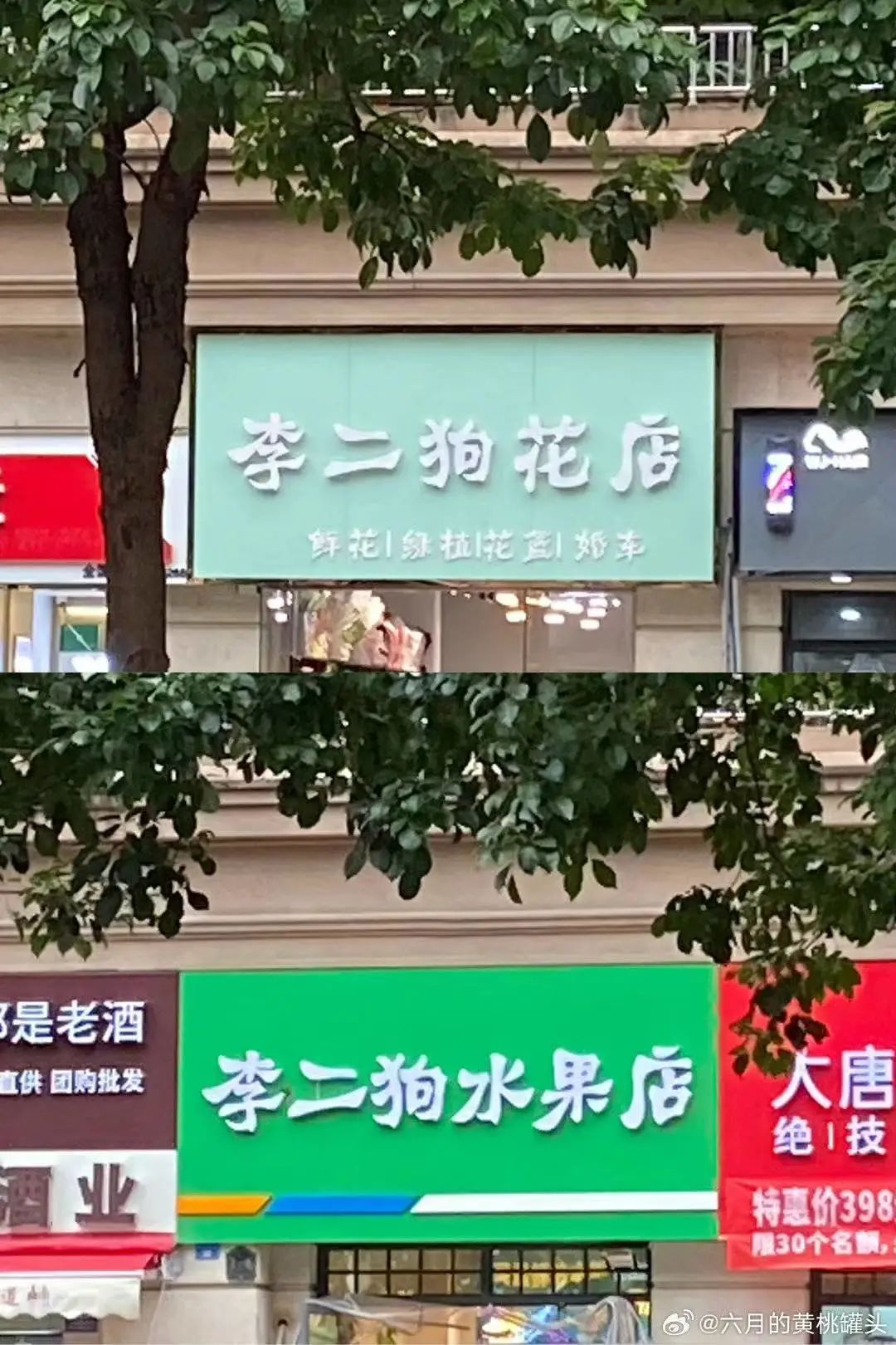 “笨手笨脚搬家公司”爆火，创意被网友笑上热搜