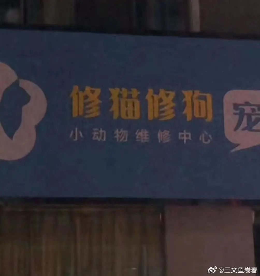 “笨手笨脚搬家公司”爆火，创意被网友笑上热搜