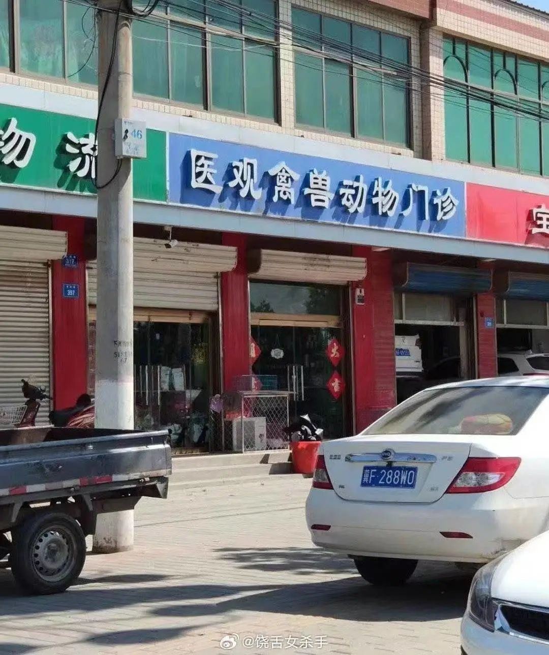 “笨手笨脚搬家公司”爆火，创意被网友笑上热搜