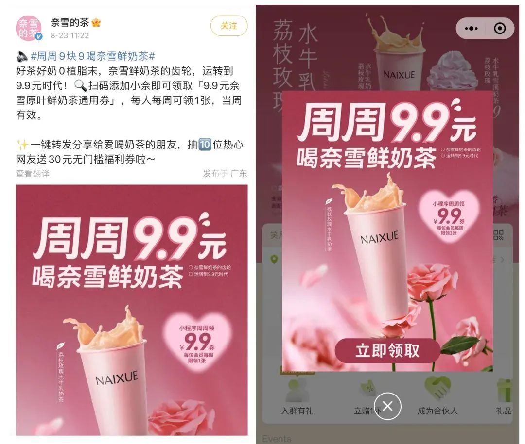 结盟一年：奈雪不装了，乐乐茶真变了