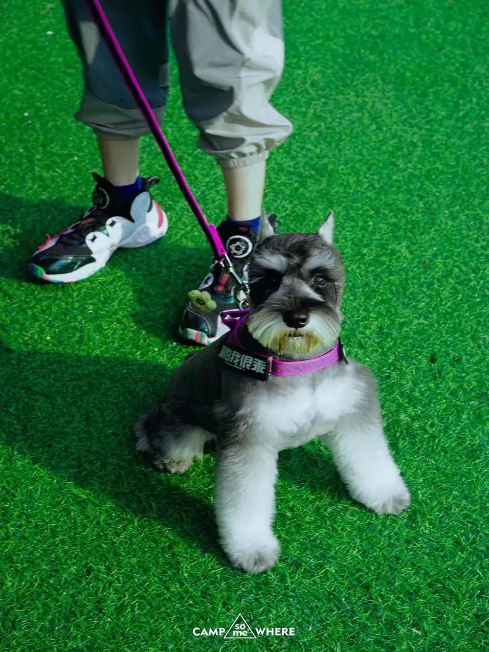 深访凯德华南项目，探寻「情绪触感」下的商业永续力