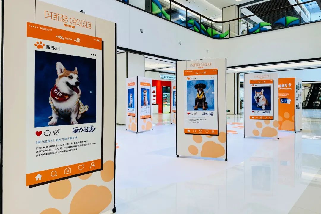 上海商业市调特辑（2024年版）