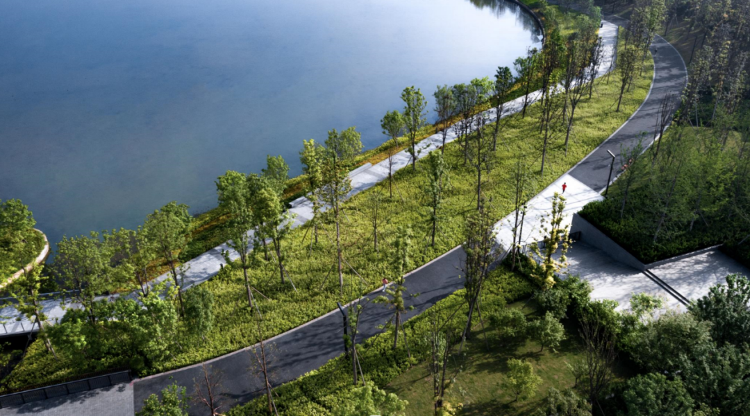 成为社区的闪光点