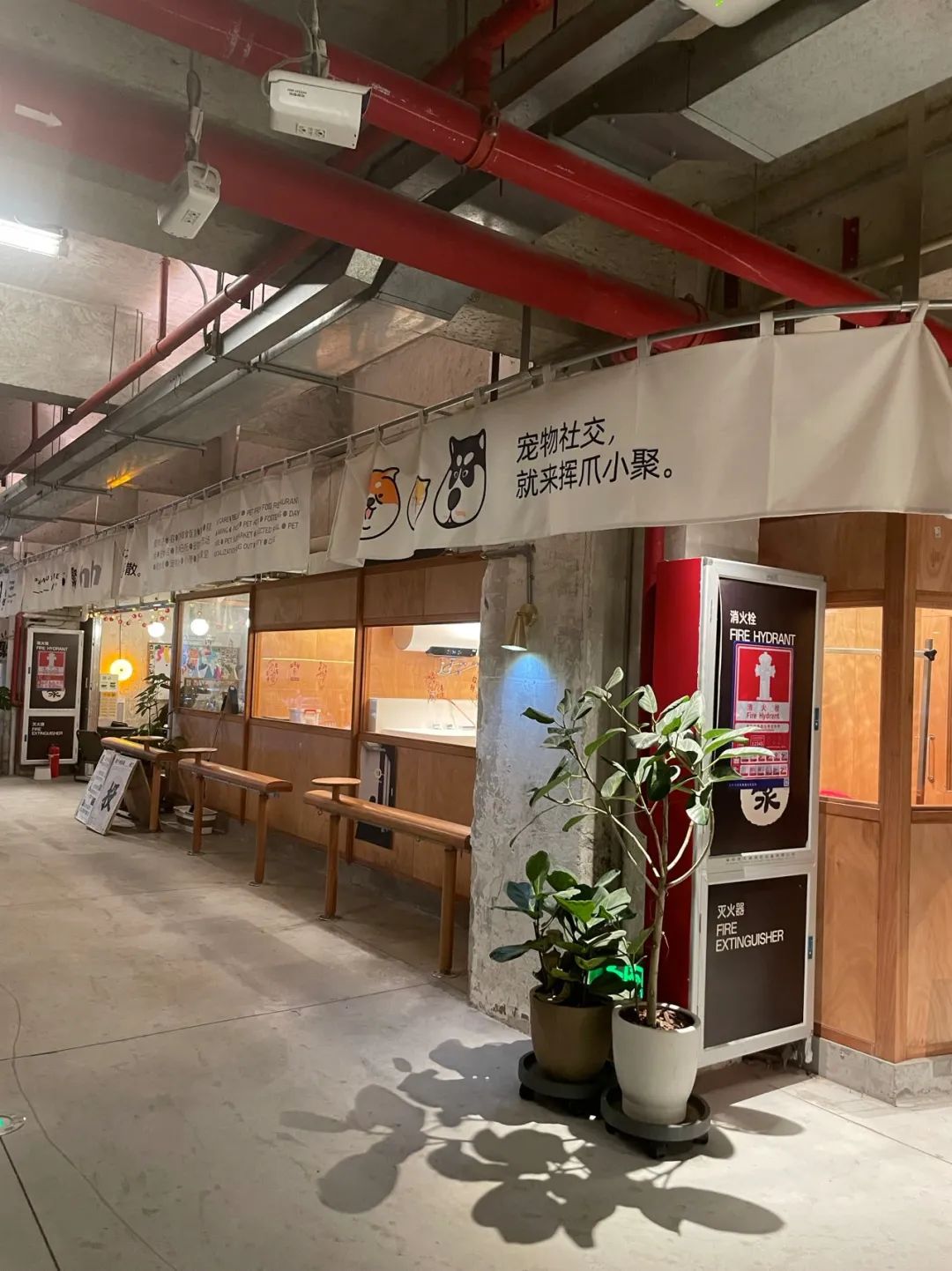 深圳非标商业，又一个“试错”案例？