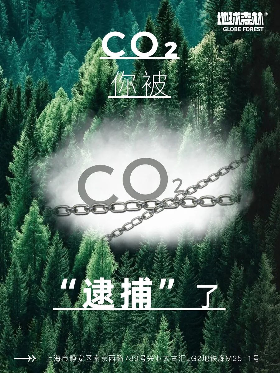 龙年新春, 发现商业中的"可呼吸绿洲"