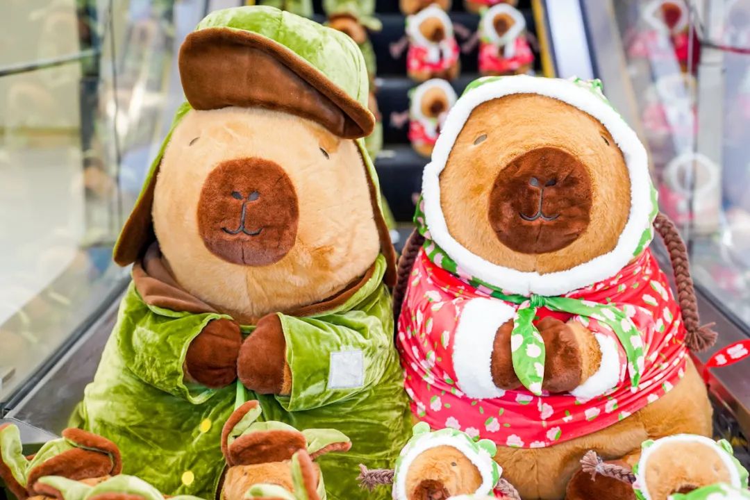 给每个年轻人，一个快乐的理由