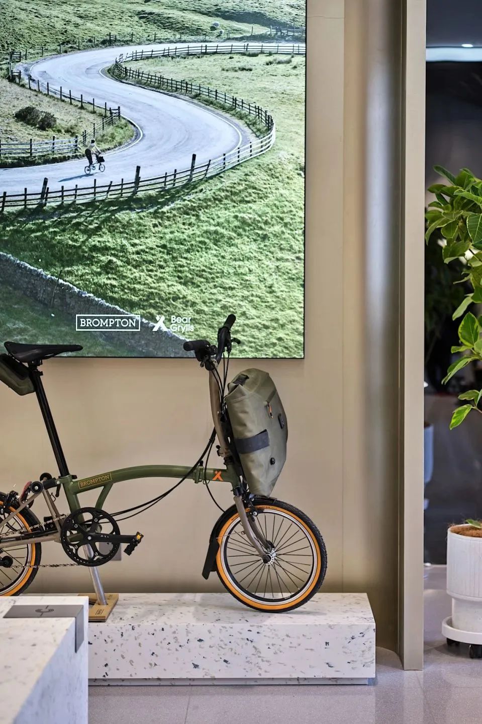 3月, 关上灯, 点亮商业中的可持续希望