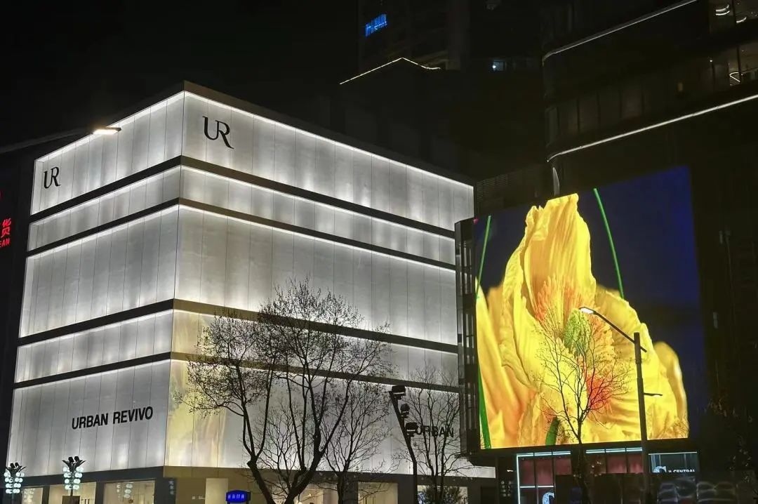 香港置地金陵中环，将如何改变中华第一商圈？