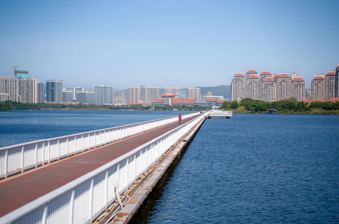 厦门的「白月光」