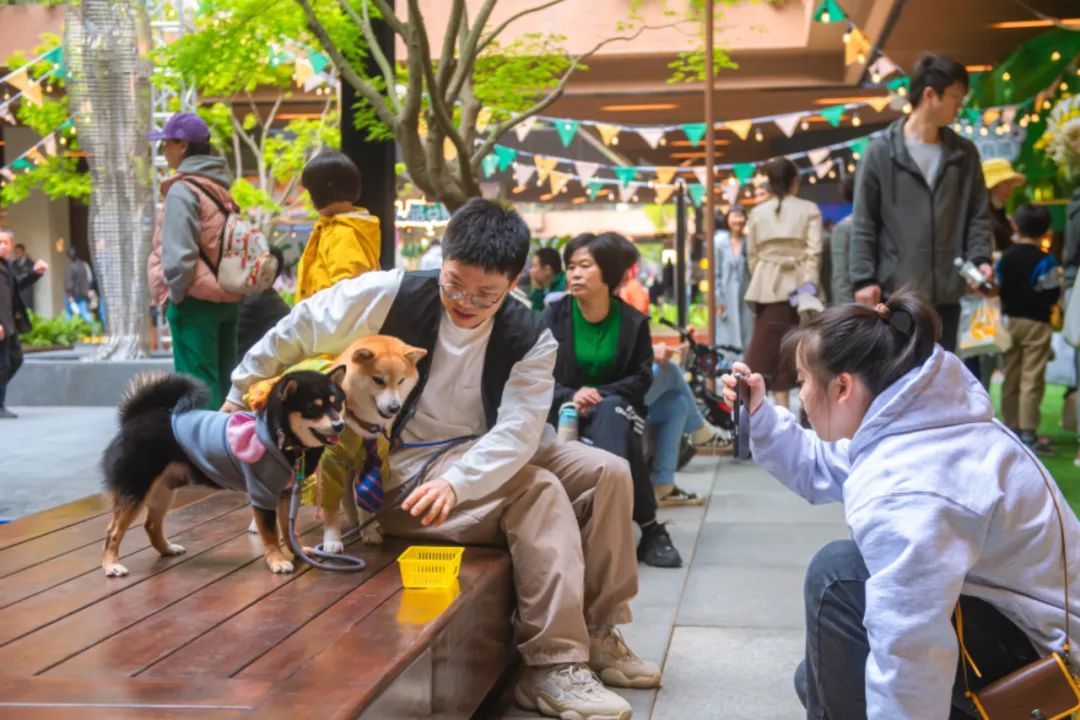 又改造又调整，瑞虹天地月亮湾大概想“重开”一次