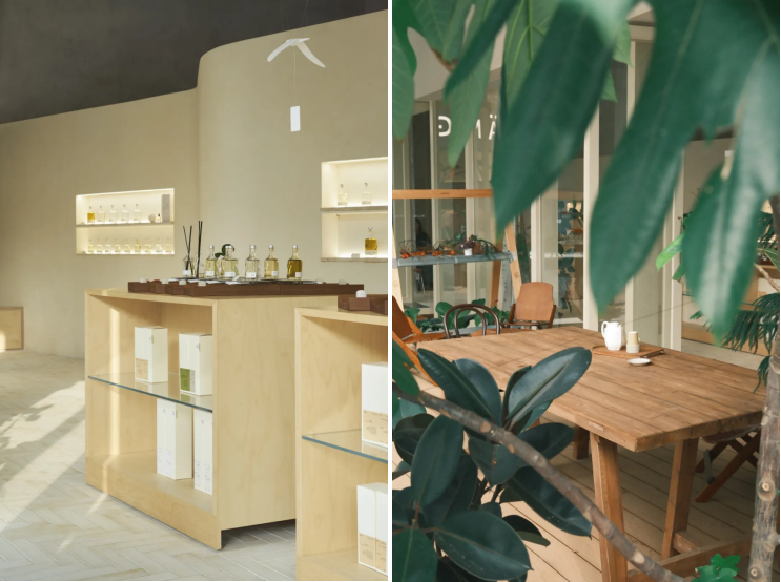 这15个深圳主理人品牌，是懂搞钱的！