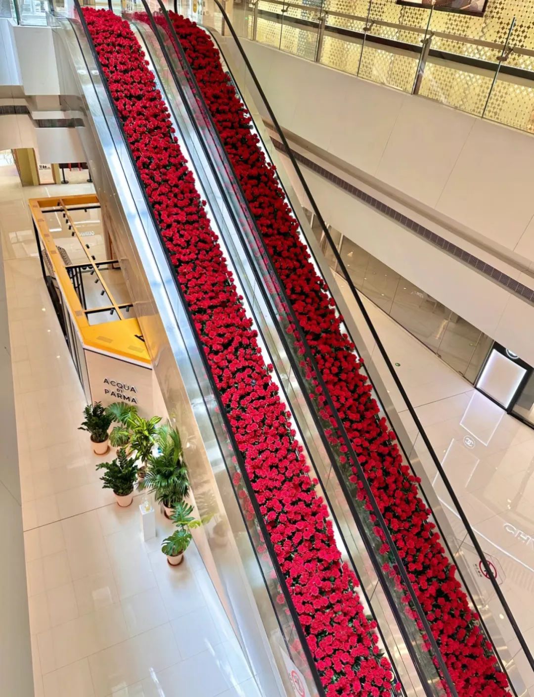 无锡恒隆广场又和扶梯“杠”上了