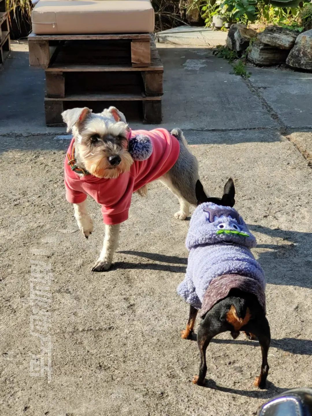 初代非标能有多超前？