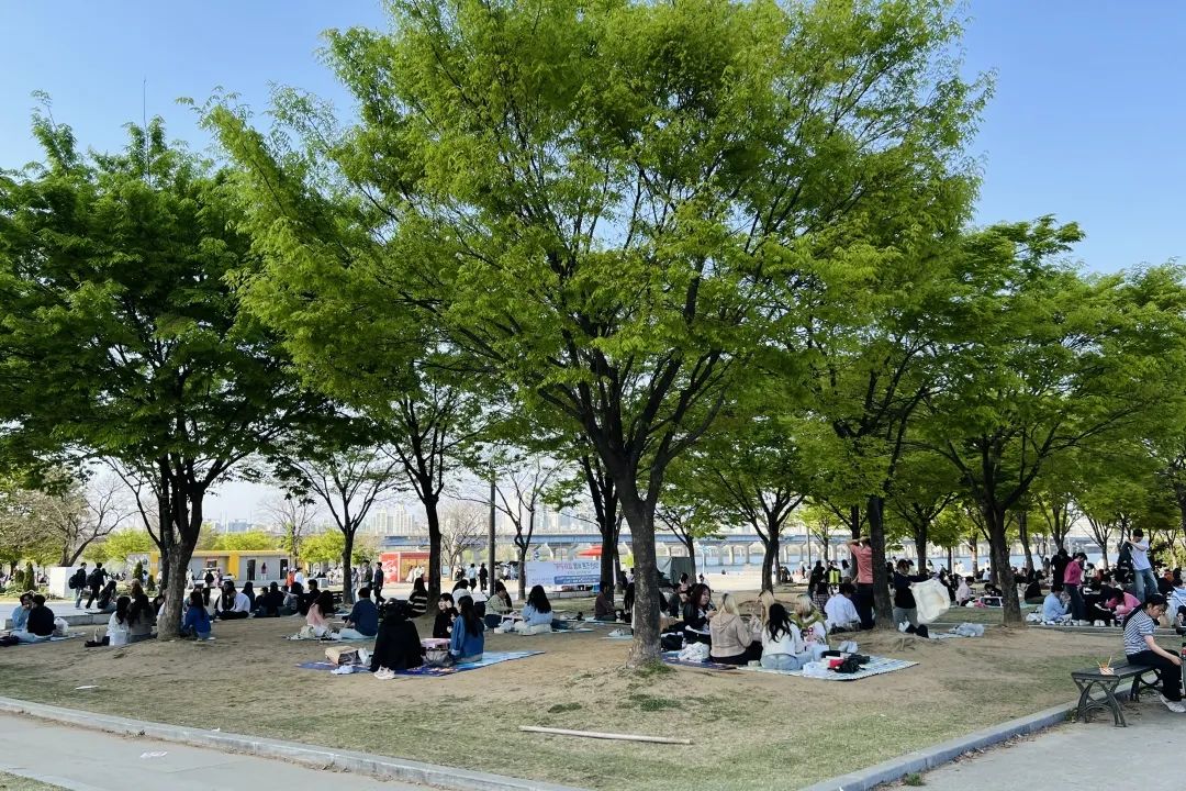 韩国商业，如何撬动MZ世代？