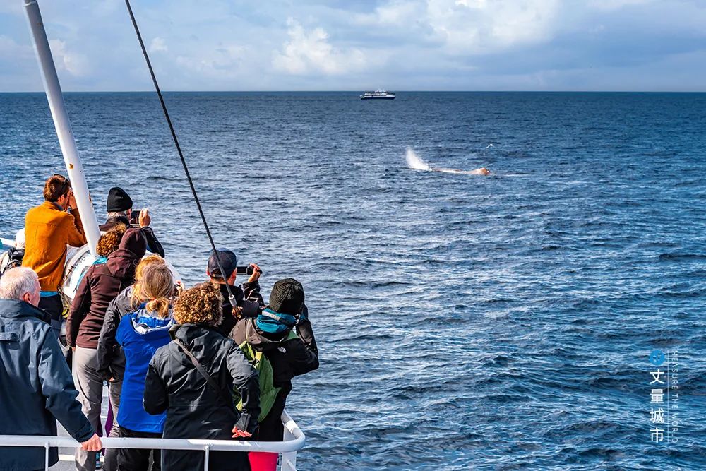 国潮引领：城市揽才的新动力！【思观察】