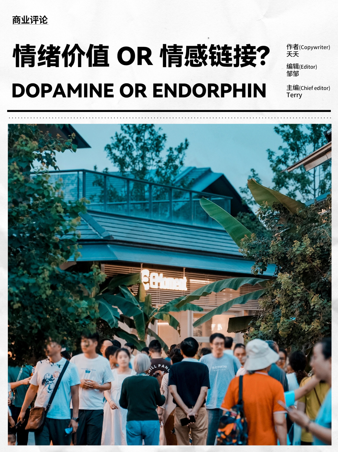 多巴胺太浅，该聊内啡肽了