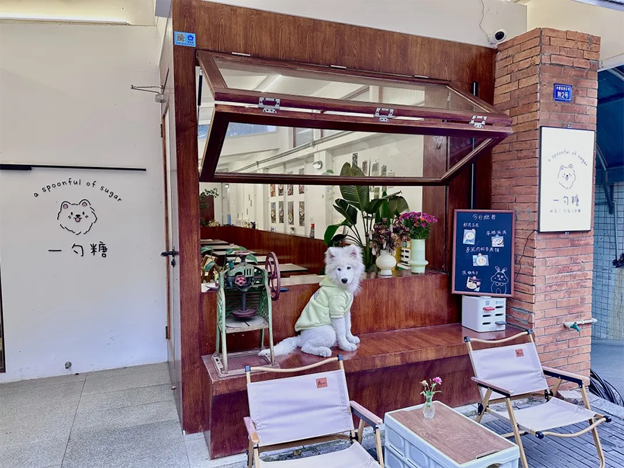 成都的8个爆款社区商业，已悄悄进入next level！