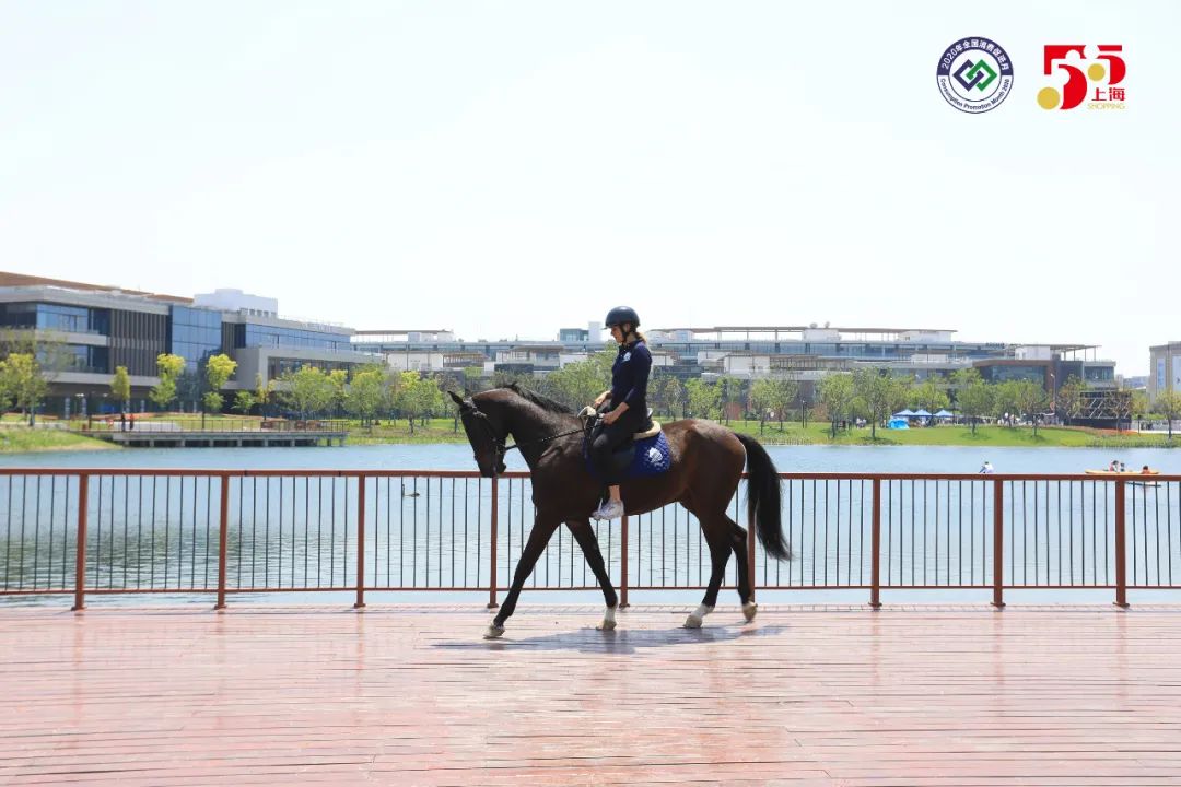 造节造景、品牌焕新，从华东四城看招商商管如何与城市共生